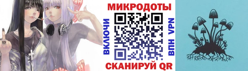 дарнет шоп  Пикалёво  Псилоцибиновые грибы прущие грибы 